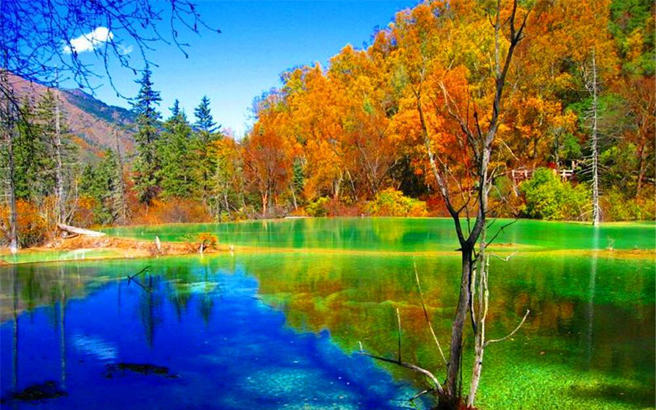 ����-����-��կ��-��������������