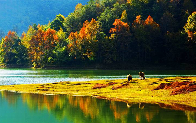 ��կ��-����-���ϴ��ԭ4����