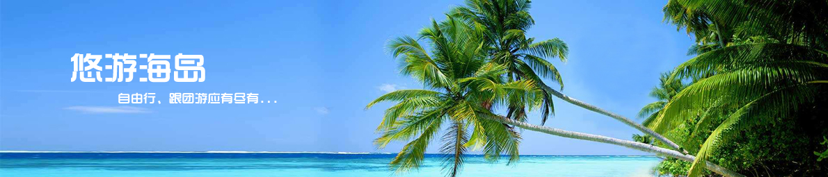 ������������_���������Ƽ�