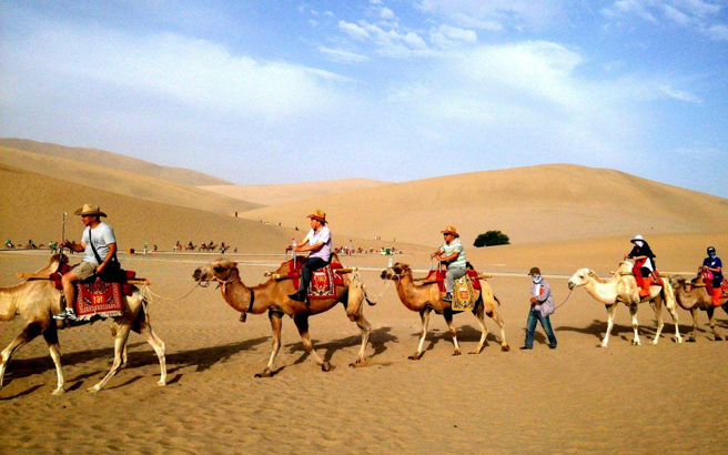 Y�ߣ�����-��Ҵ-������-�ػ�-����-������κ�-�迨-�ຣ��-������8����