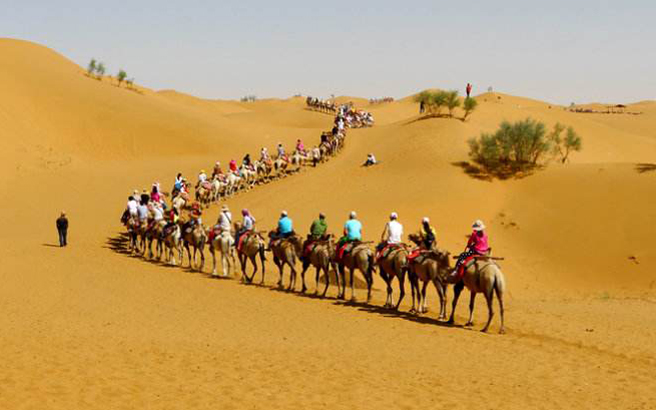 ɳ��-ɳ��ͷ-ͨ����ԭ������