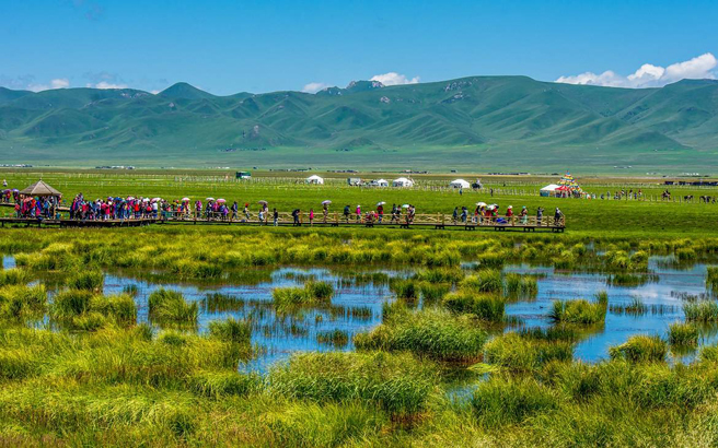 ����-����-����-������6����