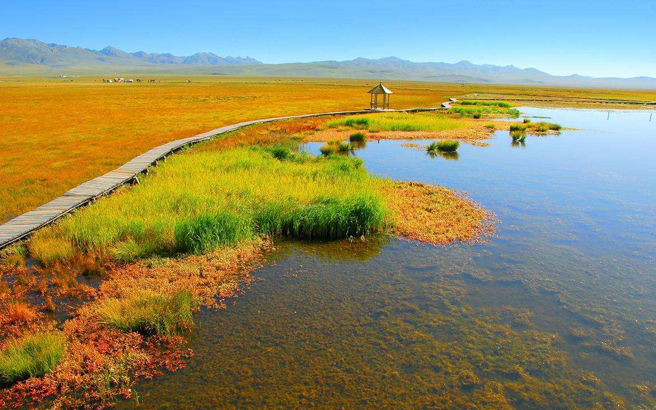 ����-��������-ɣ�Ʋ�ԭ-��ľ��-�ƺӾ�����һ��-����-������6����