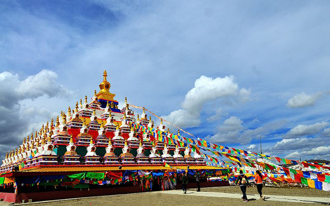 ��24���š�������-����Ҷ��-��������-��ľ��-�����ǲ�ԭ-�����ʪ��-����8����