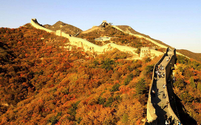 ����-���-�����ӵ��ɵ���8����