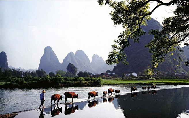 ����������Դ-��ƺ���-������-��˷����-�Ŷ��ٲ�˫��5����