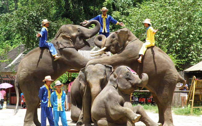 ��������-����-�ڳ�-����-â��8����