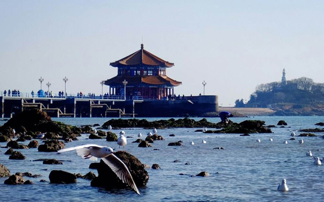 �ൺ-����-����-����-��˳˫��7����