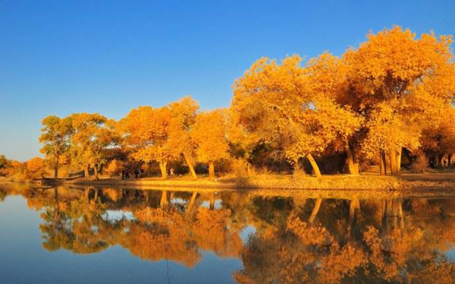 ����-��Ҵ��ϼ-����ɺ�����-����������-������-�ػ�7���Ρ�28���š�