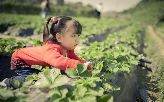 �������Ρ�����Ͽժ��ݮһ����