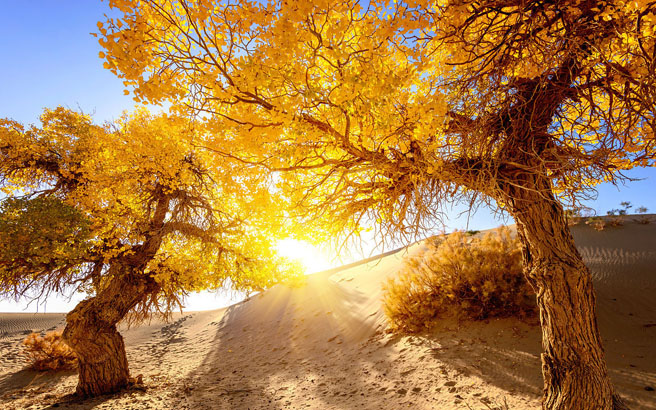 ����-��Ҵ-������������-������5����