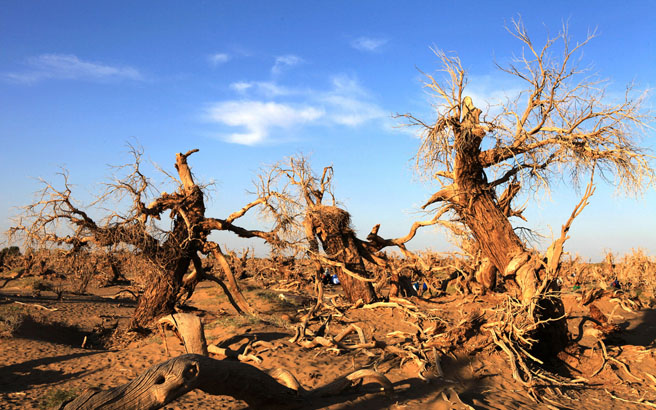 ����-��Ҵ-������������-������-�ػ�7����