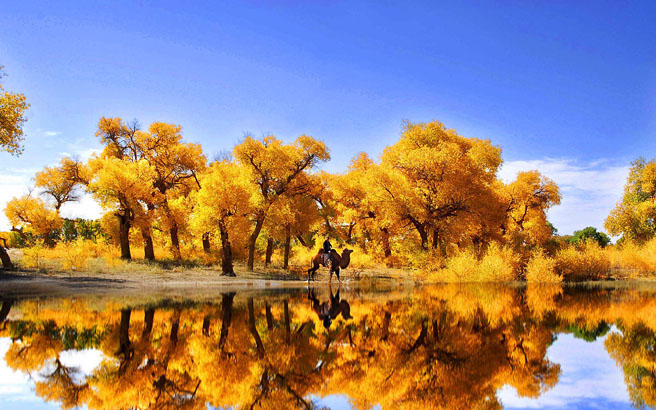 ����-��Ҵ-������������-������-�ػ�-���Ź�8����