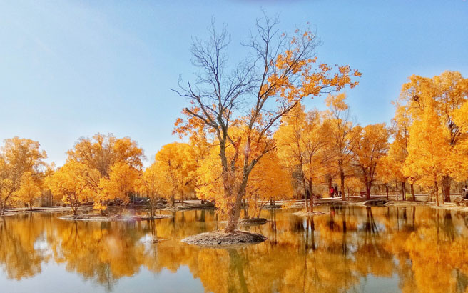 ����-��Ҵ�߲ʵ�ϼ-������������-��Ȫ6����