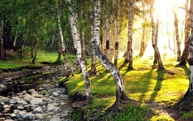 ���ְ�����-���ӹ�һ����