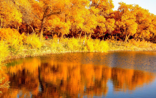 ����-��Ҵ-������������-ƽɽ��-��ɫ������6����