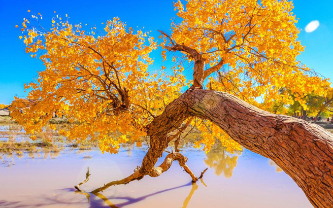 ����-��Ҵ-�������-������-������8����