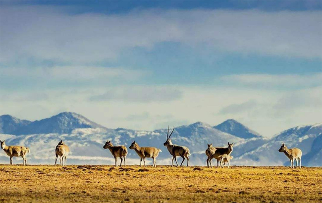 D�ߣ�[12��С��]����-��Ҵ-������-�ػ�-�ɿ�����-���ľ-�迨-�ຣ��9����