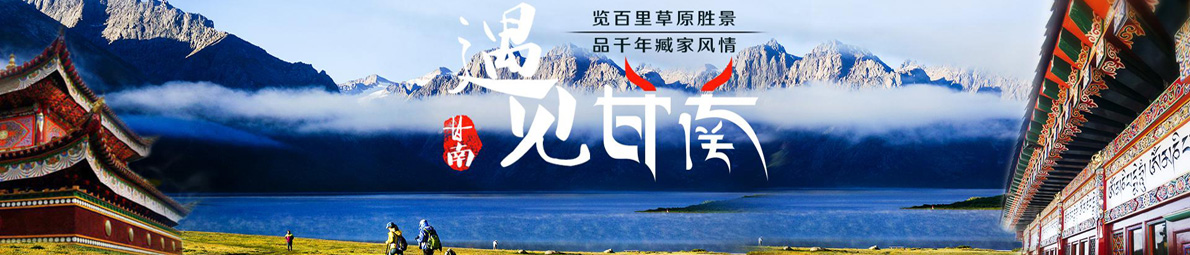 ���ݵ��������α���_���ݵ�����������