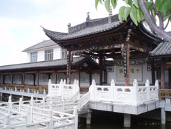 �����ų�