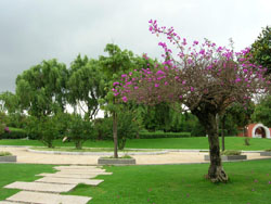 ��������԰