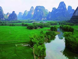 �������ٲ�