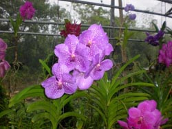 ������̬���԰