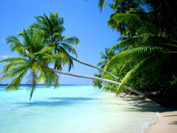 �������̲