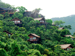 �������ȴ�����ɭ�ֹ�԰