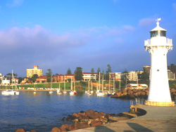 �Ĵ�����������