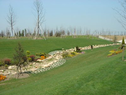 �Ĵ���������ũׯ