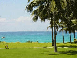 ������������ζȼ���