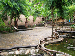 ���ƹ������Ļ�������