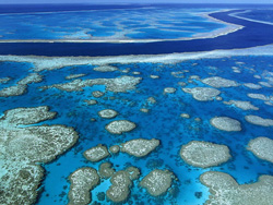 �����̵��󱤽�