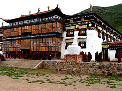 �������