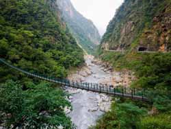 ̨��̫³����ҹ�԰