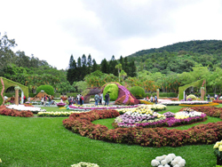 ʿ�ֹ�ۡ��԰