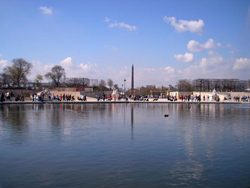 ����Э�͹㳡