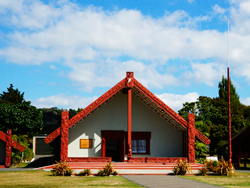 ������ë�������Ļ���