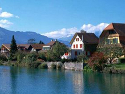 �¿��������ɽ����ɫ�۹�����