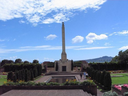 �¿����������