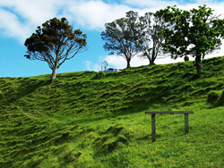 �¿�������ɽ