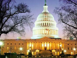 �����׹�