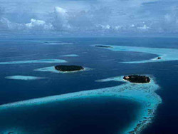 �����Ĵ��ڹ�ս��