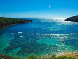 �����Ŀ�����