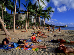 ��������������̲