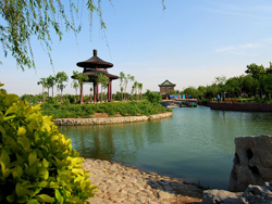 ����ʳ�Ļ�԰