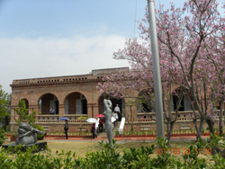 ̨�����Ӣ�����¹�