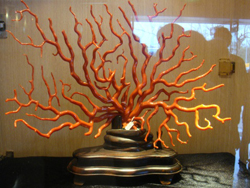 ̨��ɺ�������