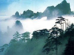 ����ɽ��Х�Ҿ���